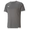 Puma Teamliga Shirt Senior