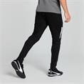 Puma Teamliga Training Pants Senior