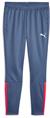 Puma teamliga training pants