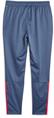Puma teamliga training pants