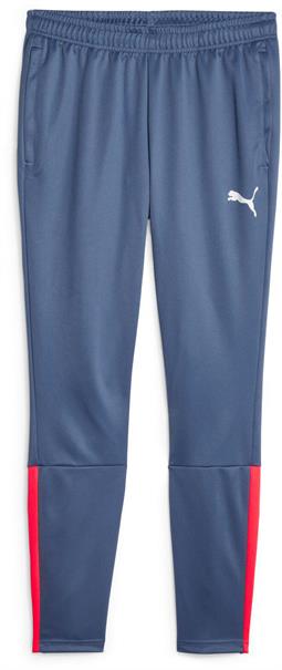 Puma teamliga training pants