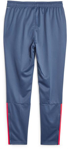 Puma teamliga training pants