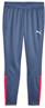 Puma teamliga training pants