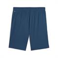 Puma teamliga training shorts 2