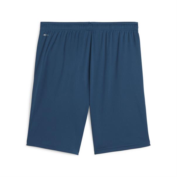 Puma teamliga training shorts 2