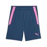 Puma teamliga training shorts 2
