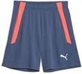 Puma teamliga training shorts2 jr