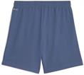 Puma teamliga training shorts2 jr