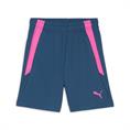 Puma teamliga training shorts2 jr