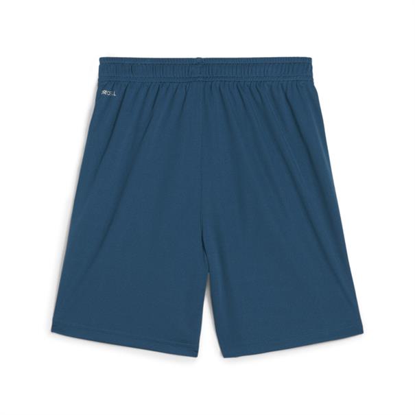 Puma teamliga training shorts2 jr