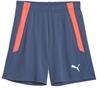 Puma teamliga training shorts2 jr