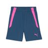 Puma teamliga training shorts2 jr