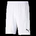 Puma teamrise short