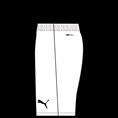 Puma teamrise short