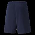 Puma teamrise short