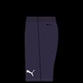 Puma teamrise short
