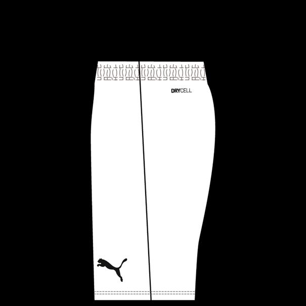 Puma teamrise short