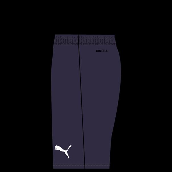 Puma teamrise short