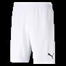 Puma teamrise short