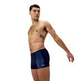 Speedo ECO Duo Logo Print Aquashort Heren Zwembroek