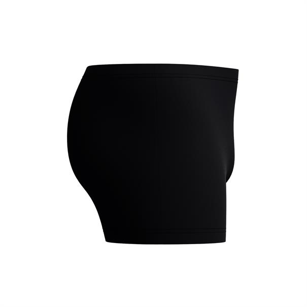 Speedo ECO Medley Logo Aquashort Heren Zwembroek