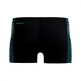 Speedo ECO+ Tech Panel Aquashort Heren Zwembroek