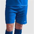 Stanno Club pro shorts