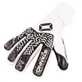 Stanno stanno volare match iii goalkeeper