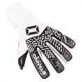 Stanno stanno volare match iii goalkeeper