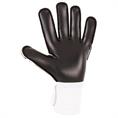 Stanno stanno volare match iii goalkeeper