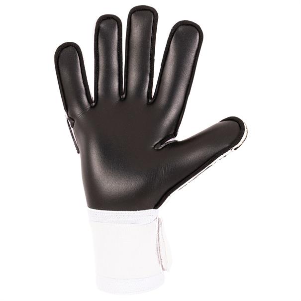 Stanno stanno volare match iii goalkeeper