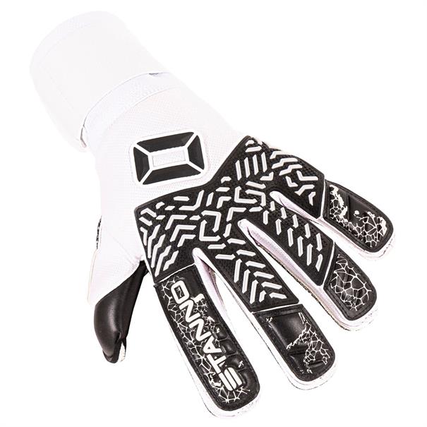 Stanno stanno volare match iii goalkeeper