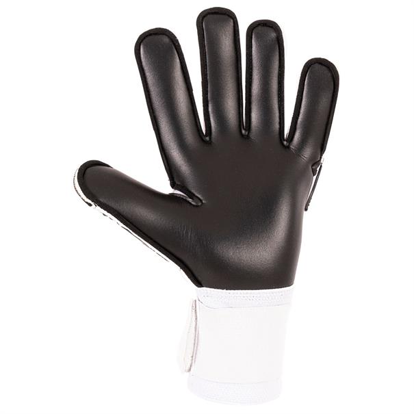 Stanno stanno volare match iii goalkeeper