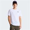 The North Face Evolution Box Nse Regular T-Shirt voor Heren