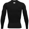 Under Armour ua hg armour comp ls