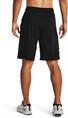 Under Armour ua raid 2.0 shorts